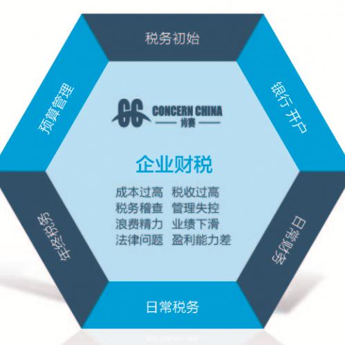 上海一站式财税与知识产权服务 专业代理记账与全方位解决方案