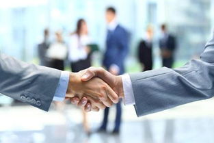 燕郊企业服务指南 卫生许可证与知识产权服务详解